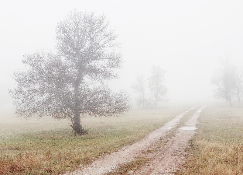 Unknown Path by Jim Atkinson